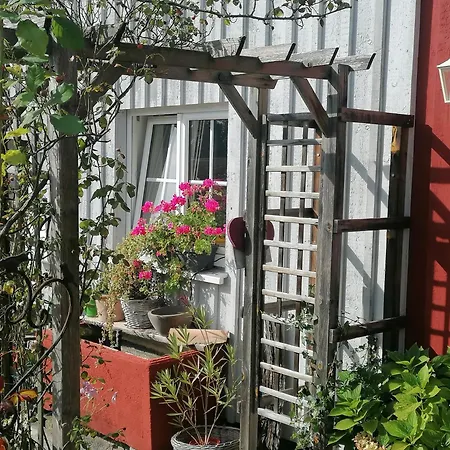 Dornroeschen Weißensberg